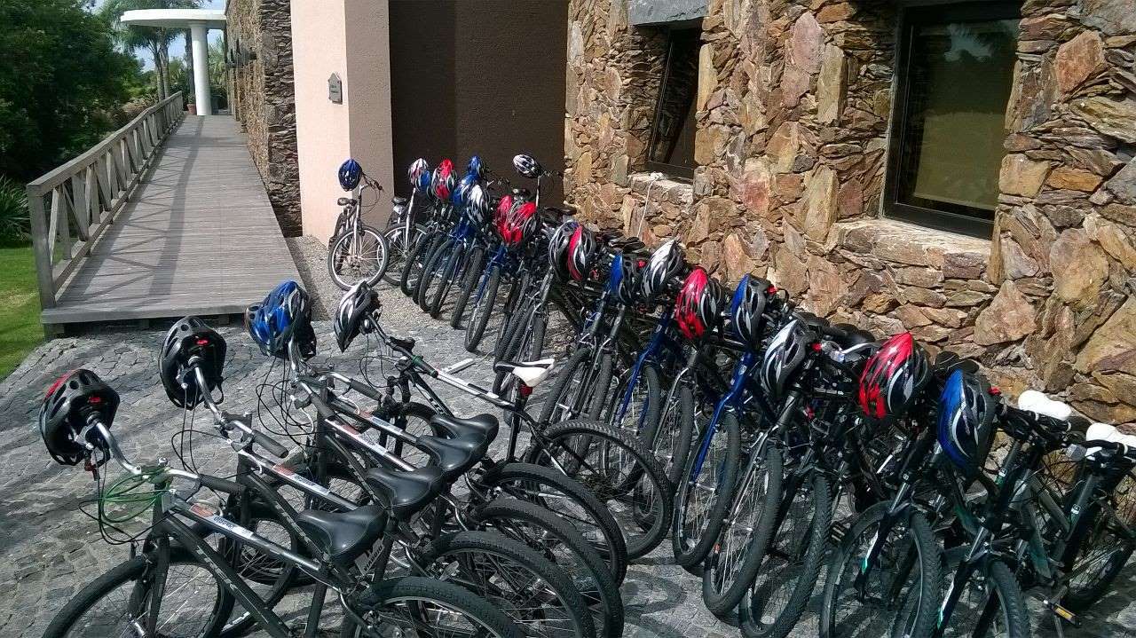Alquiler de Bicicleta y Almuerzo Típico Uruguayo