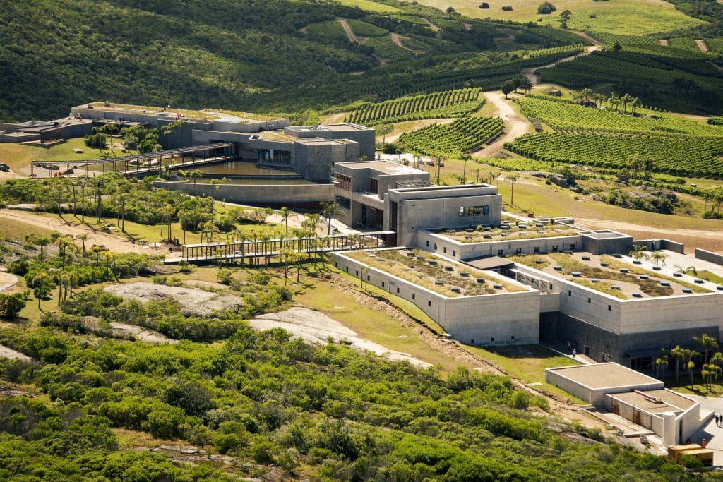 Senderismo en Bodega Garzón