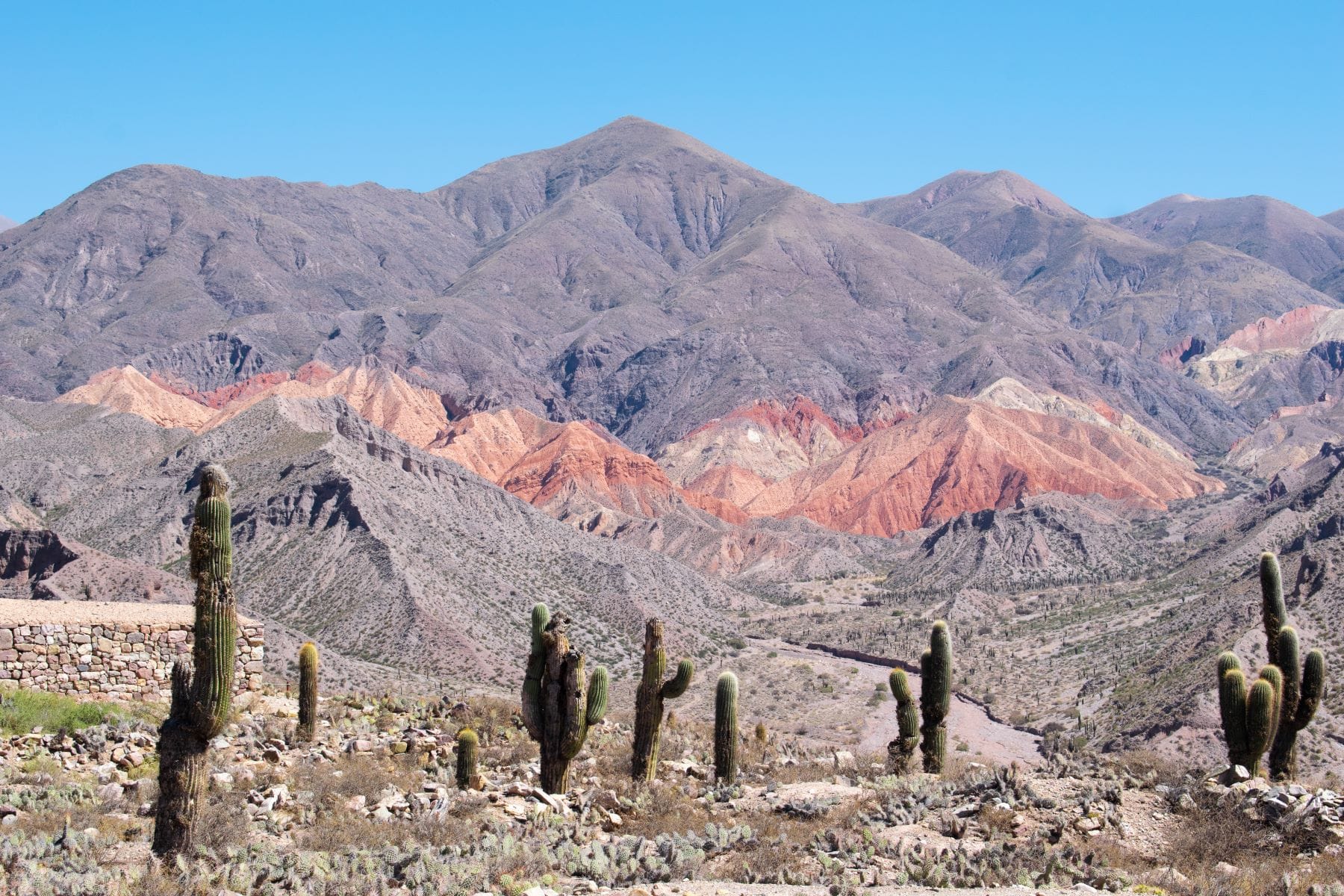 Combo desde Salta: Tour Cafayate + Humahuaca + Traslado de llegada y salida + Walking Tour gratis