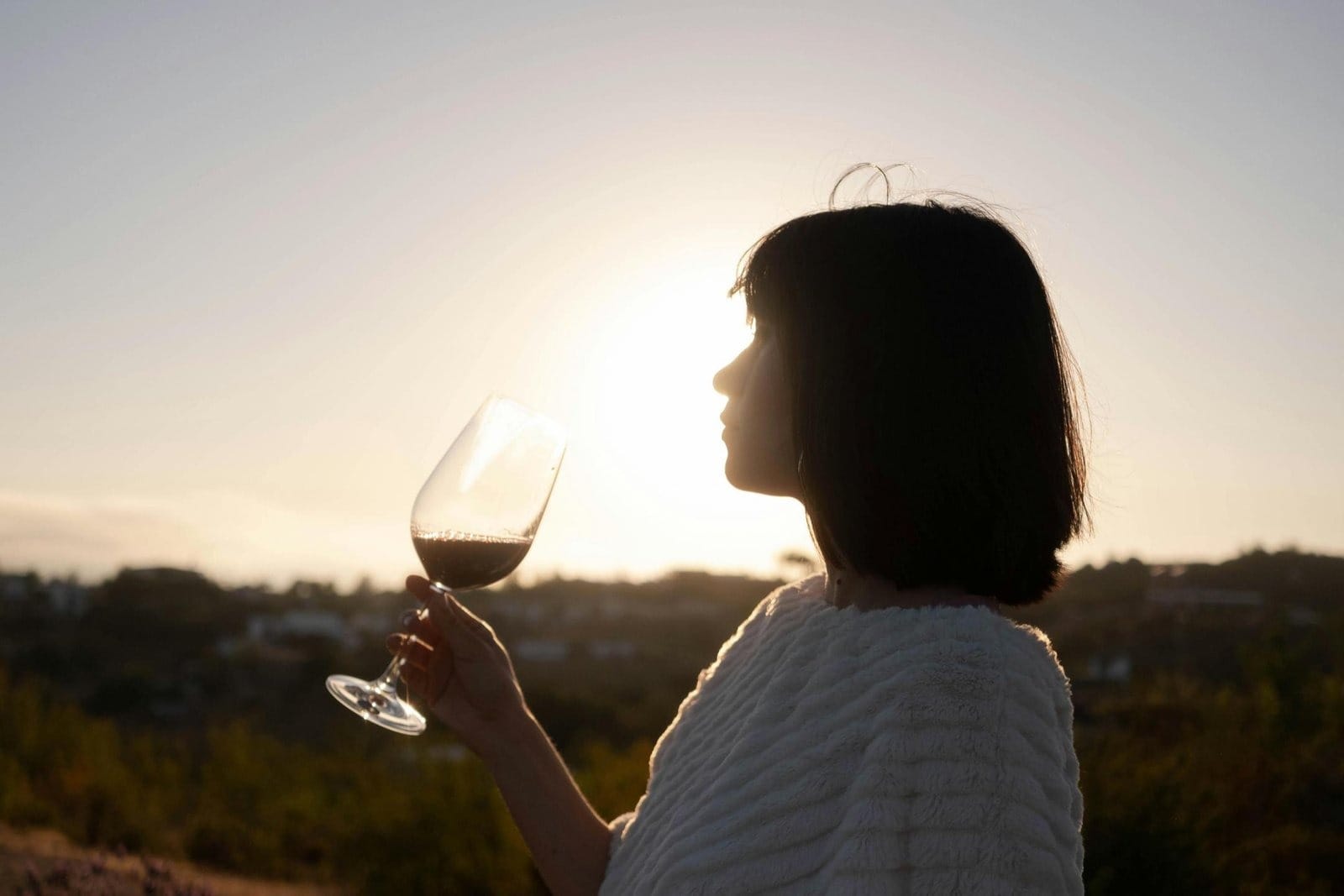 San Juan: Bodegas del Sur, con guía en Inglés