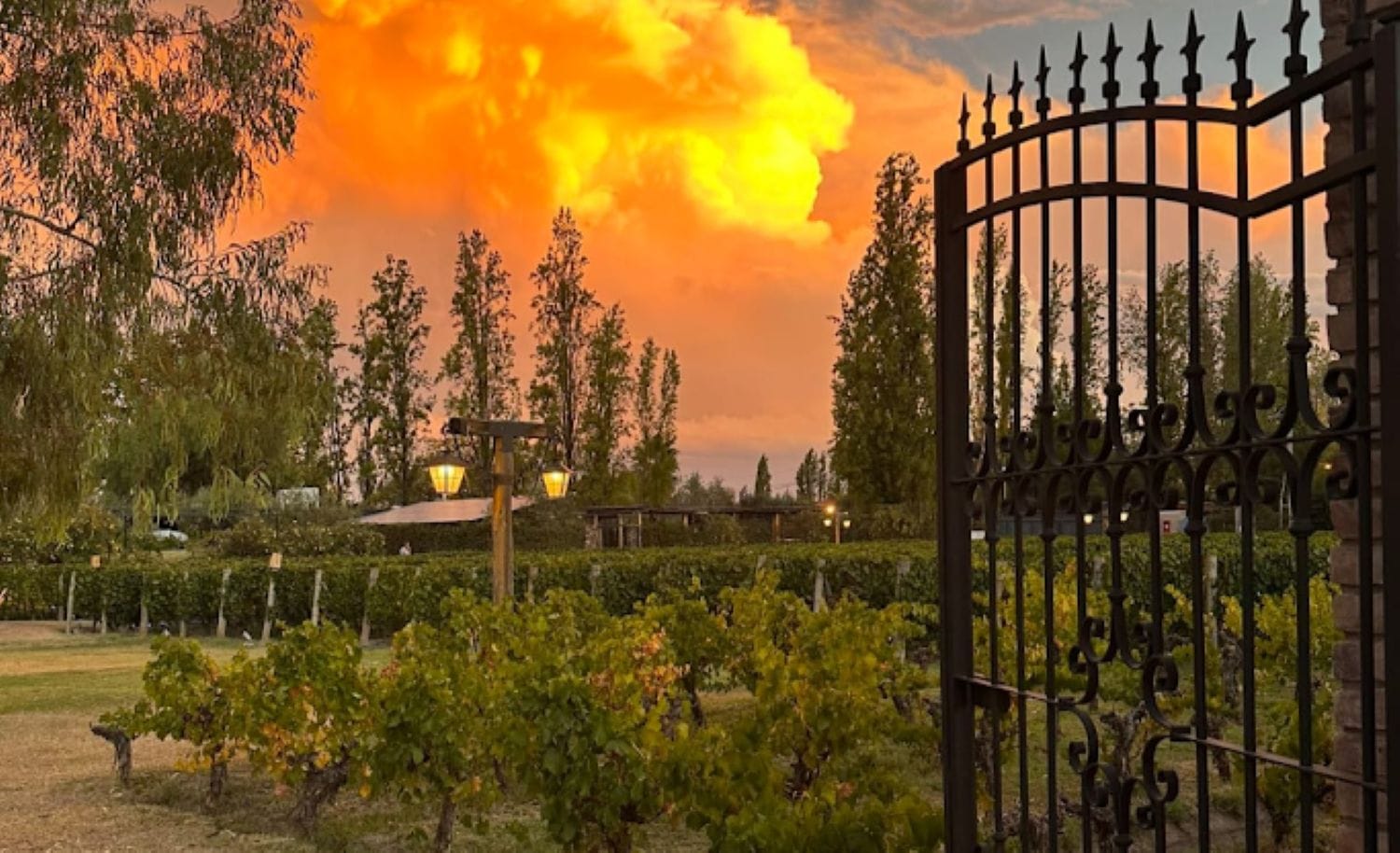 Casa Vigil: Experiencia Gourmet al Atardecer