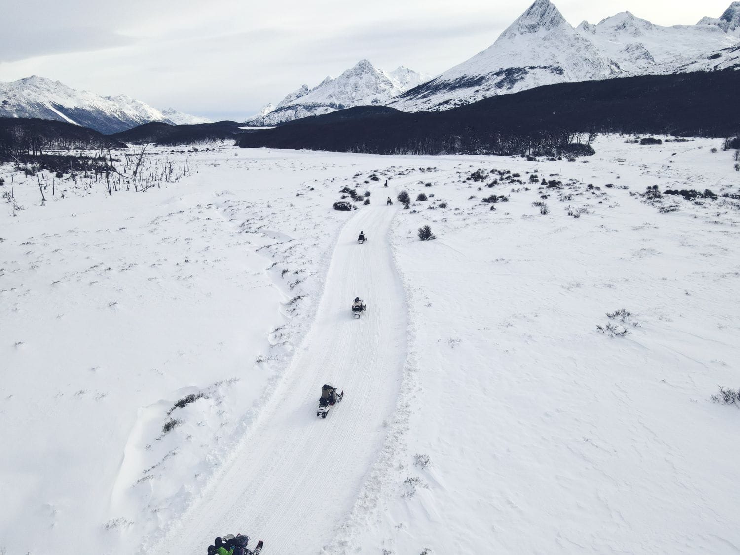 Aventura Antártica en Husky Park Ushuaia