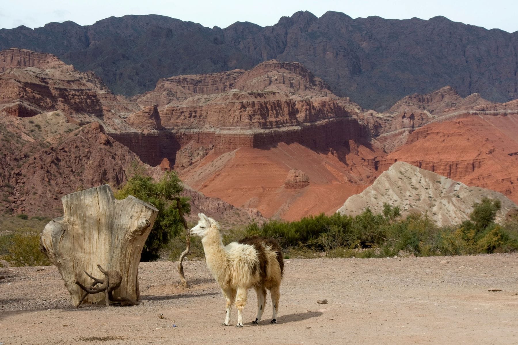 Valle Calchaqui y Tour Paisajistico en Cafayate
