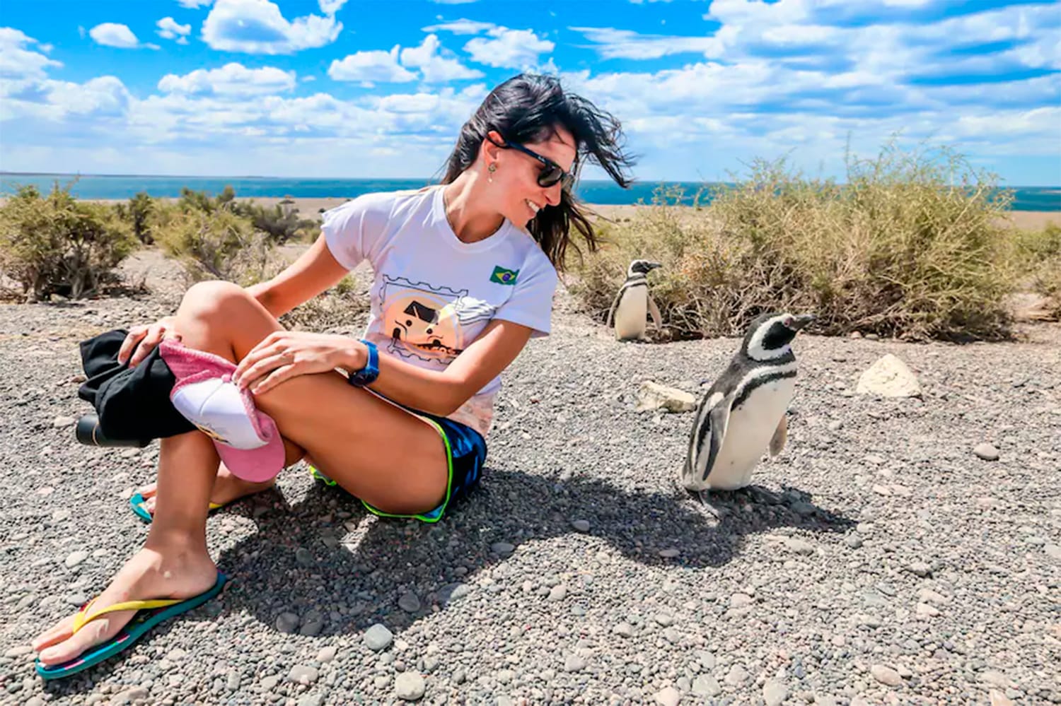Puerto Madryn: Excursion de Dia Completo a Punta Tombo