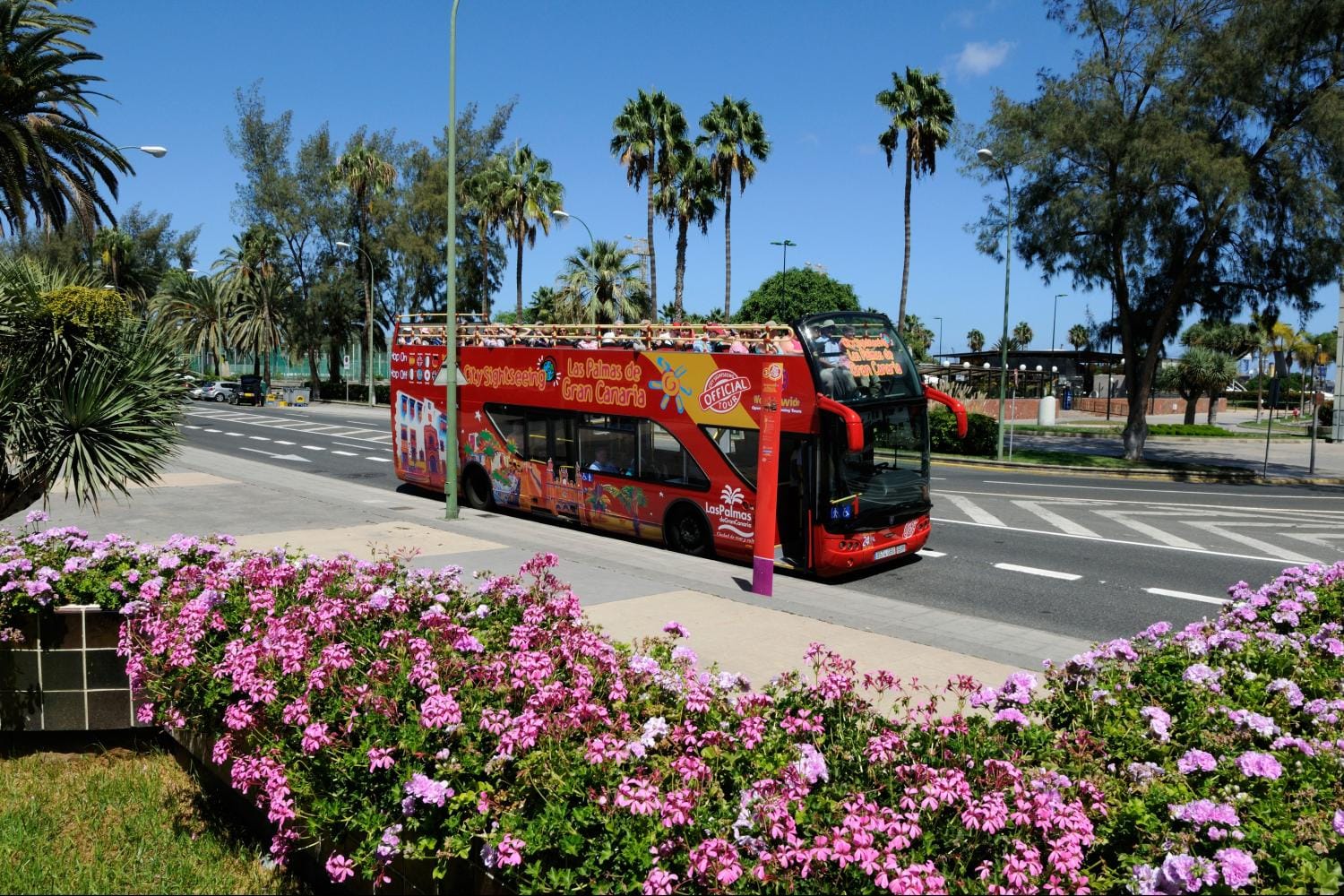 Ônibus turístico Hop-on Hop-off Las Palmas