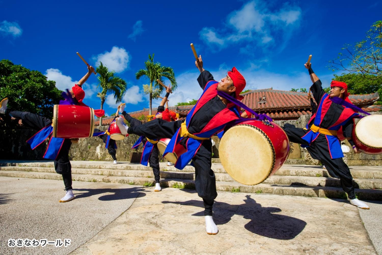 Okinawa Regular Sightseeing Bus: Shuri Castle / Okinawa World Course