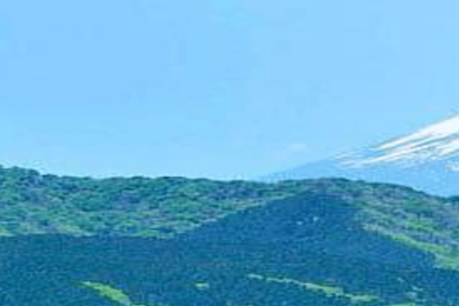 Mt. Fuji and Hakone 1 Day Bus Tour (Bus tour)
