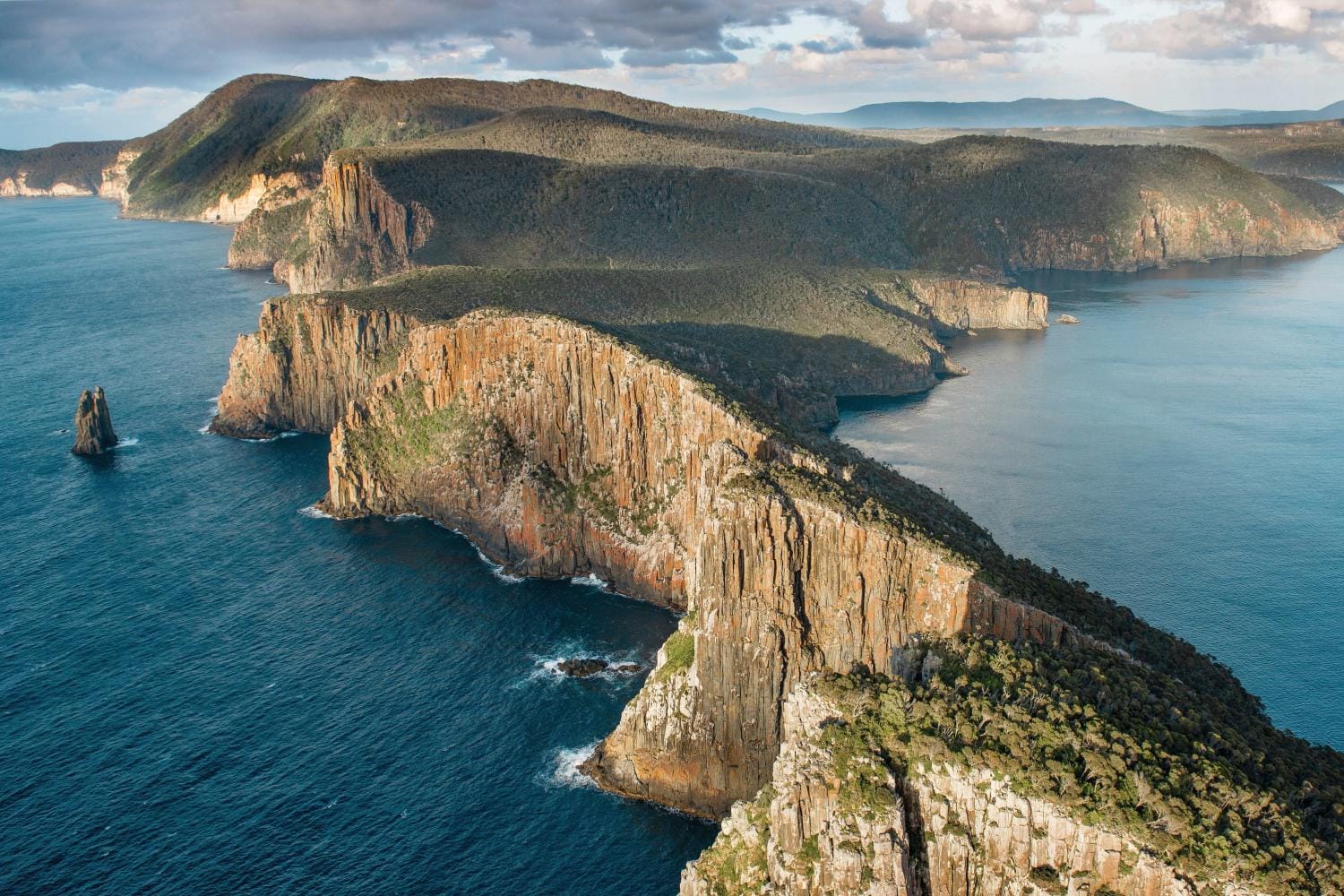 Tasman Island Cruises - Crucero de 3 horas por la naturaleza salvaje