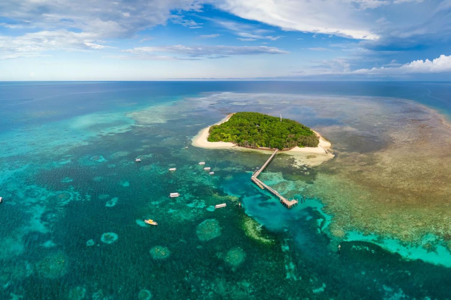 Ecoaventura Green Island con Great Adventures - desde Cairns