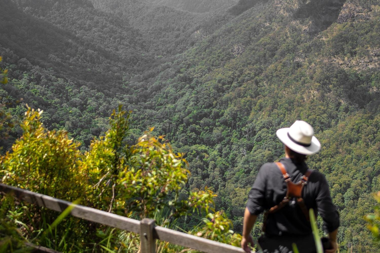 O Reillys y el Parque Nacional de Lamington