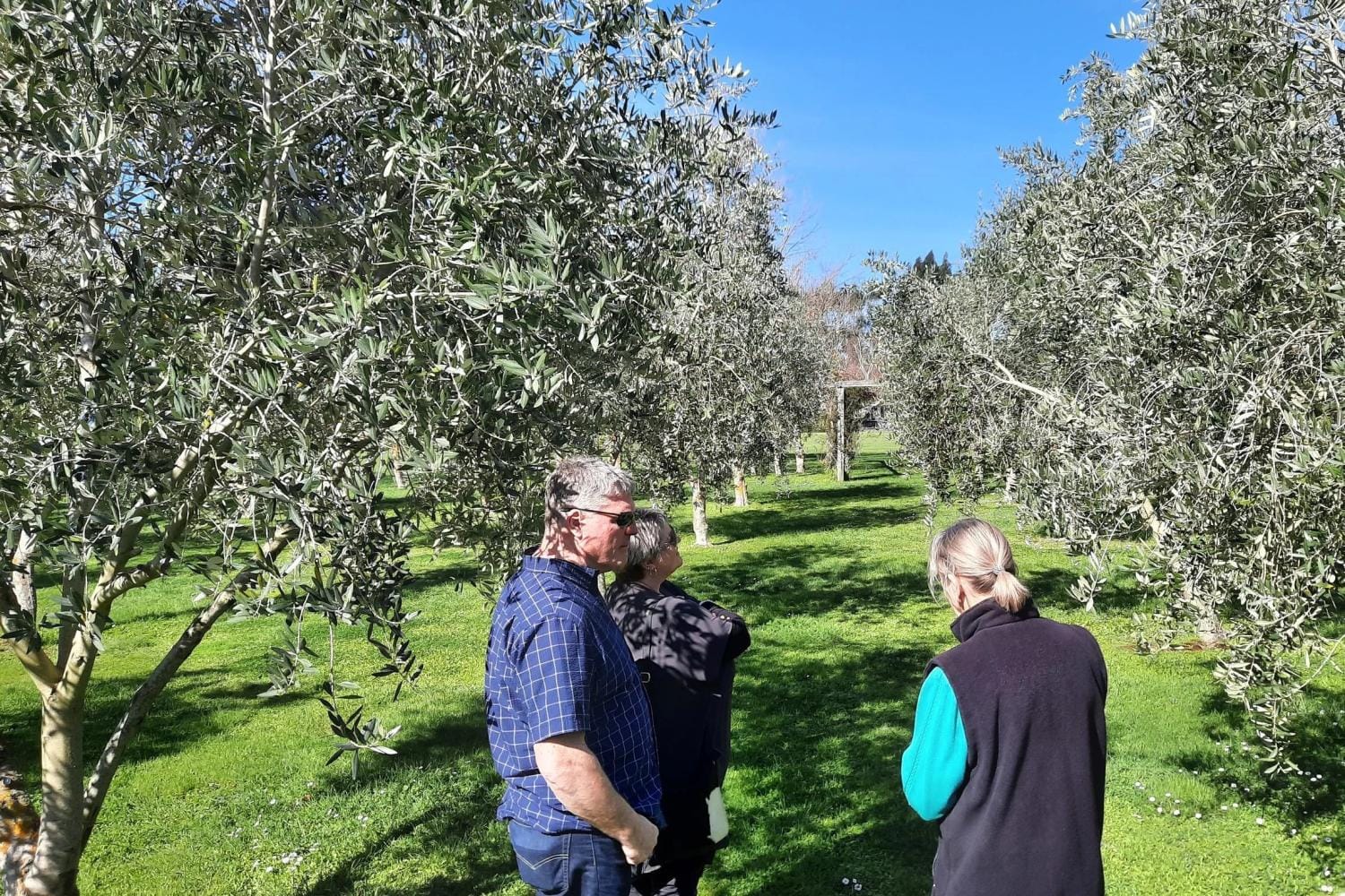 Visita gastronómica y a la bodega Martinborough