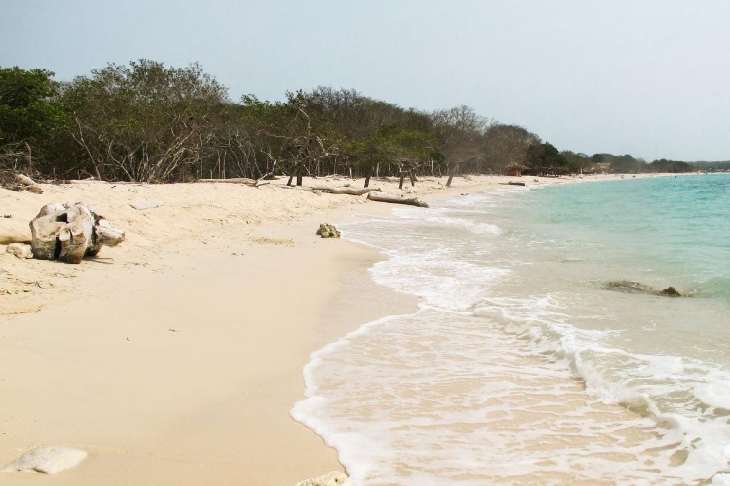 Pasadía en Isla Barú por vía terrestre desde Cartagena