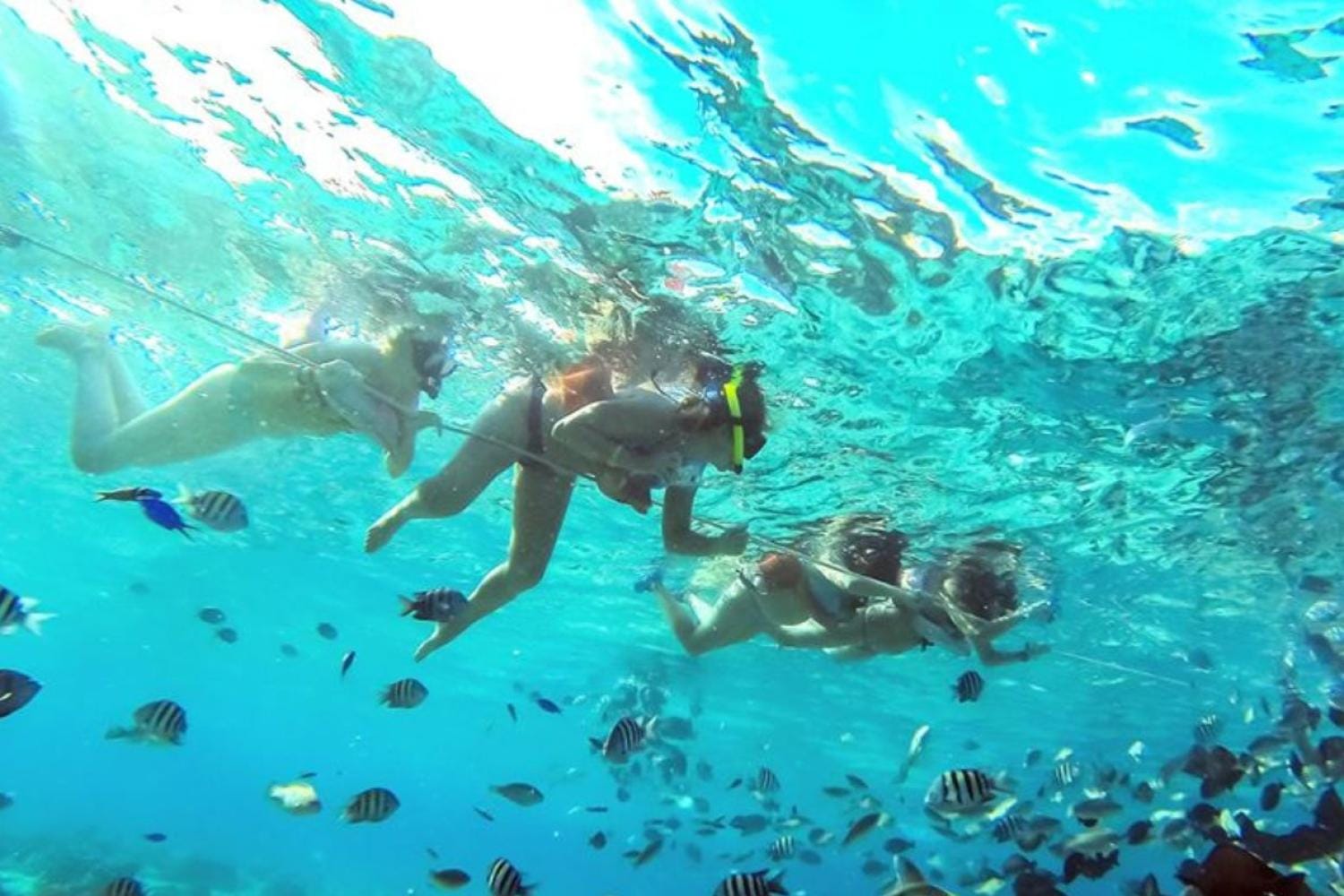 Tour Acuario, Bahía y Manglares en San Andrés con Transporte compartido