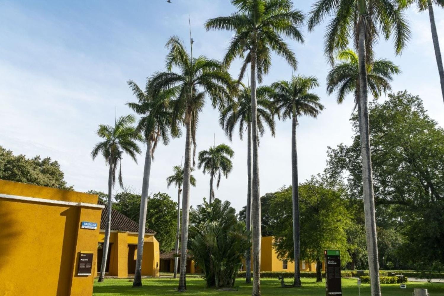 Recorrido por la ciudad de Santa Marta