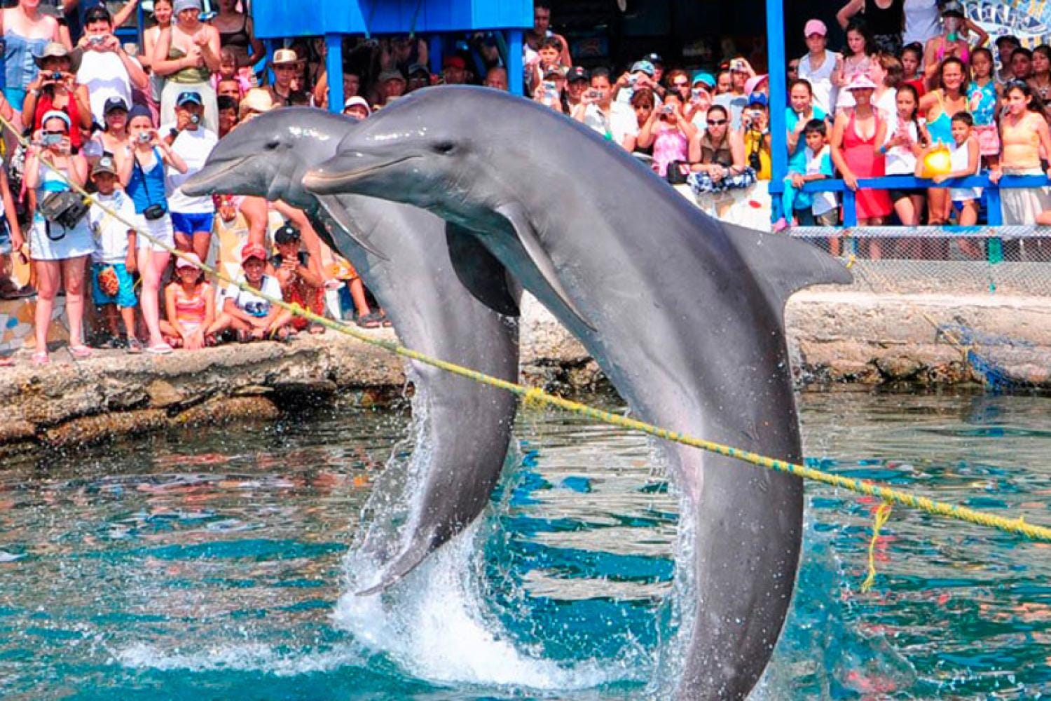 Acuario Playa Blanca en Santa Marta