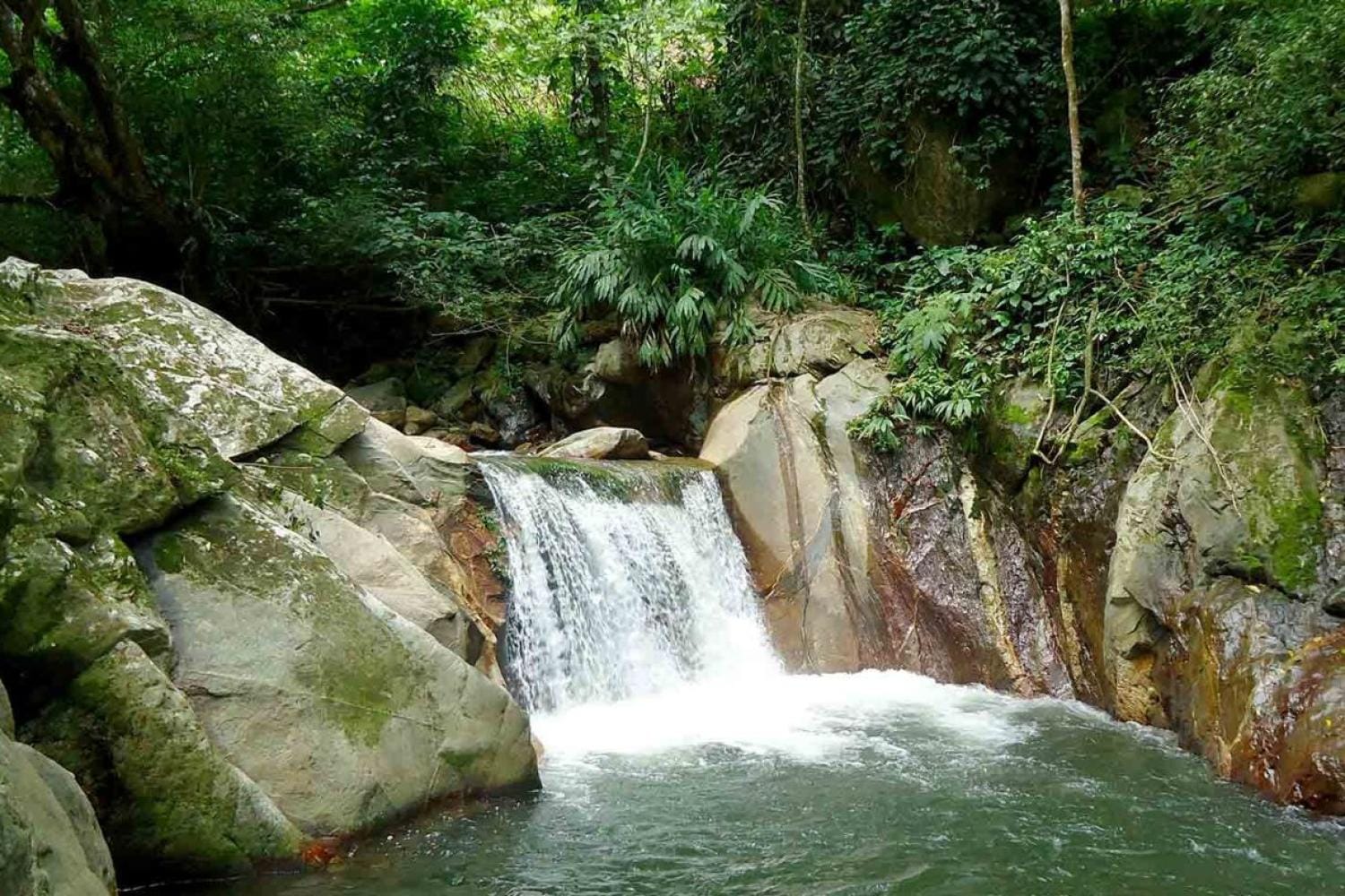 Visita a Minca desde Santa Marta
