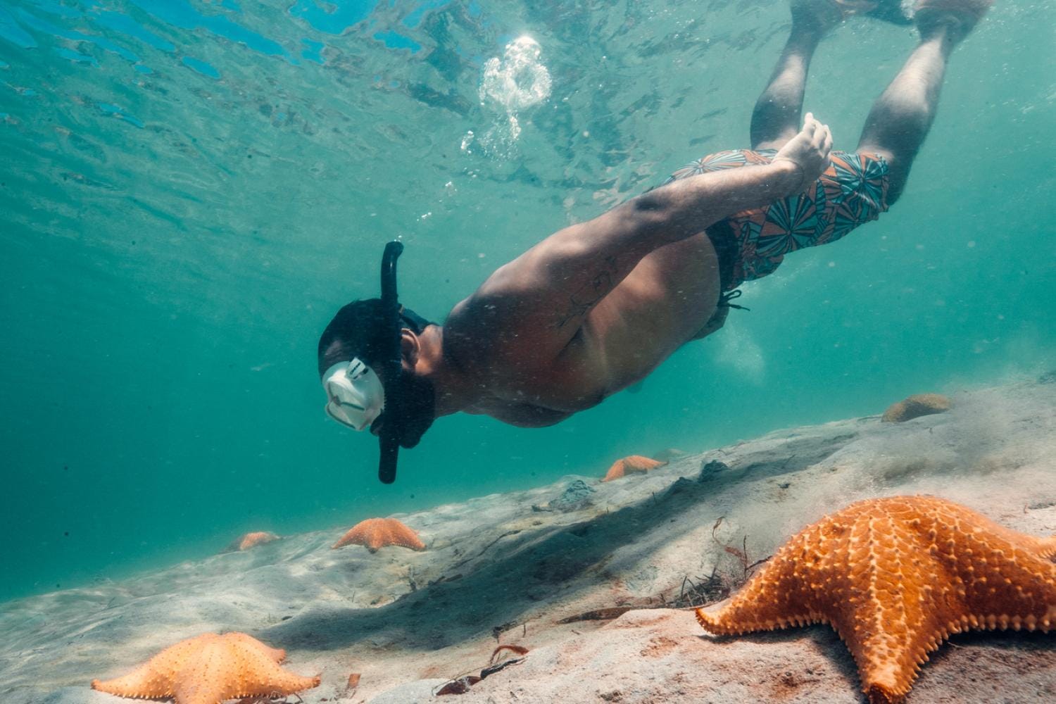 Descubre Playa Estrella en Bocas del Toro: Naturaleza, Estrellas de Mar y Playas Idílicas