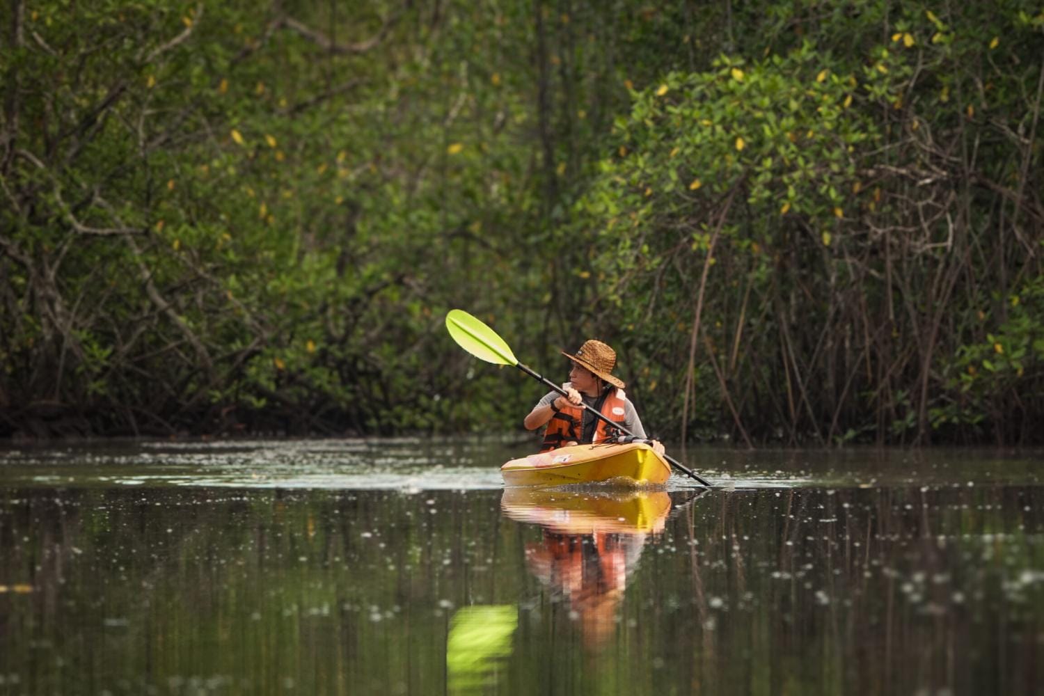 Travesía en Kayak por Manglares y Canales en Punta de Tierra, Chiriquí