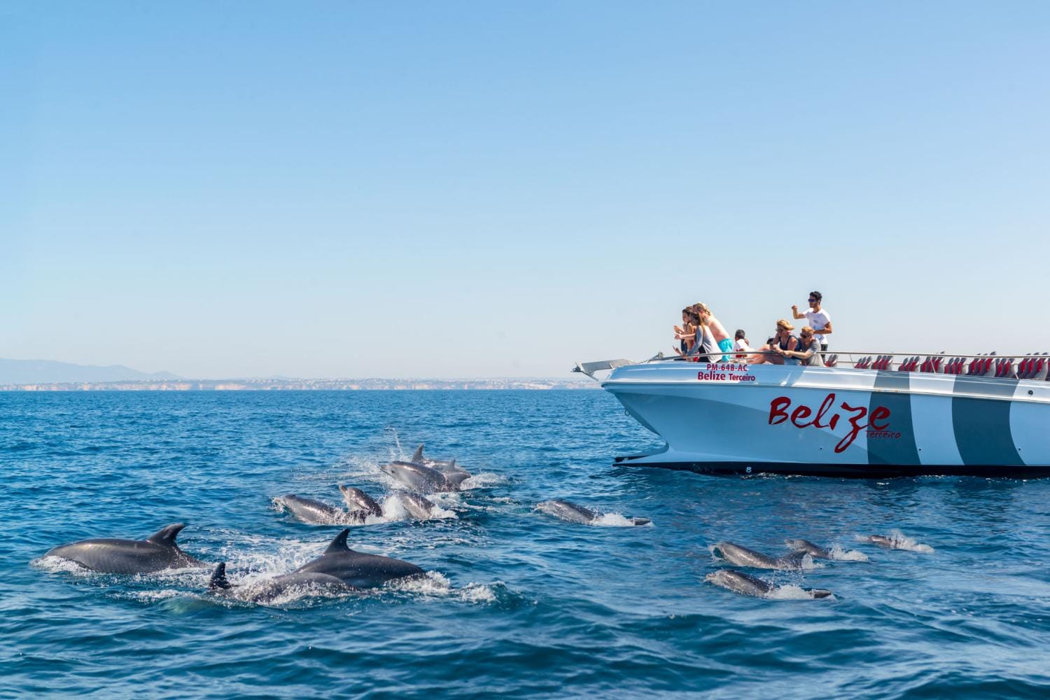 Portimão: Delfines y cuevas de Benagil - Catamarán