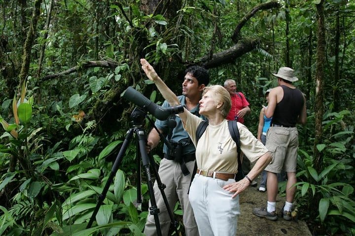 Excursión de observación de aves desde San José