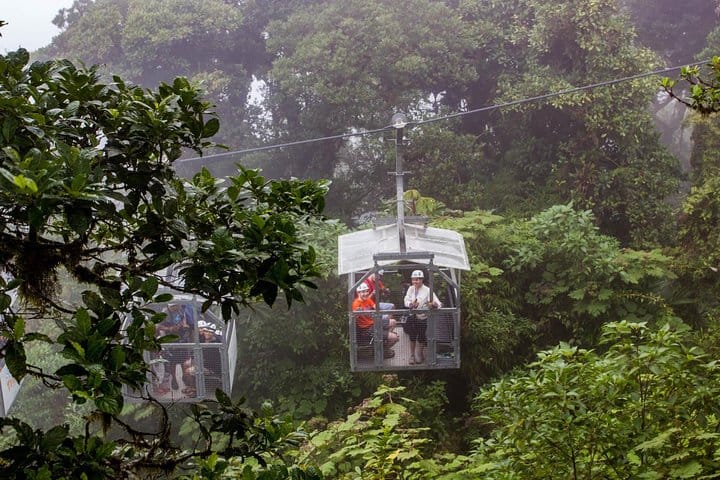 Teleférico y Sky Trek desde Monteverde