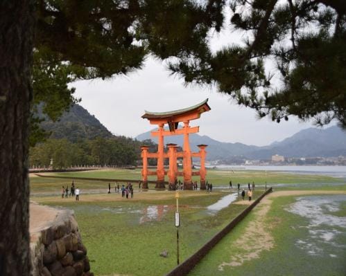 Hiroshima and Miyajima 1 Day Bus Tour from Kyoto