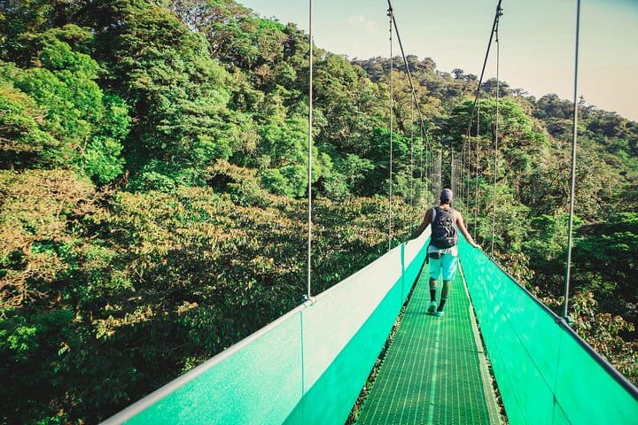 Paseo aéreo desde Monteverde