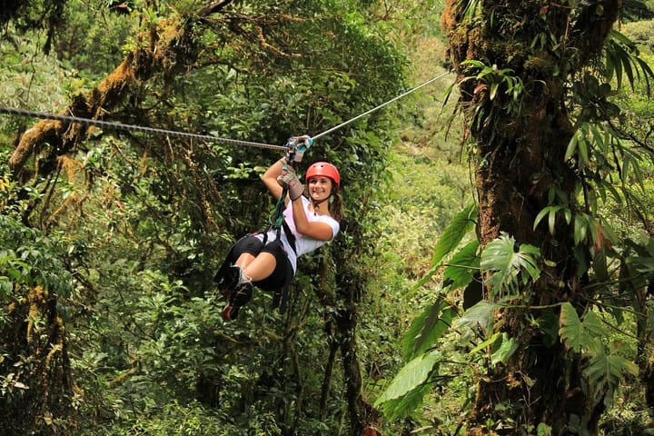 Tour combinado al parque Selvatura desde Monteverde