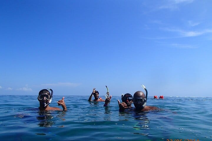 Full Day Cahuita Snorkel And Sloth Sanctuary from Puerto Viejo de Talamanca (Limón)