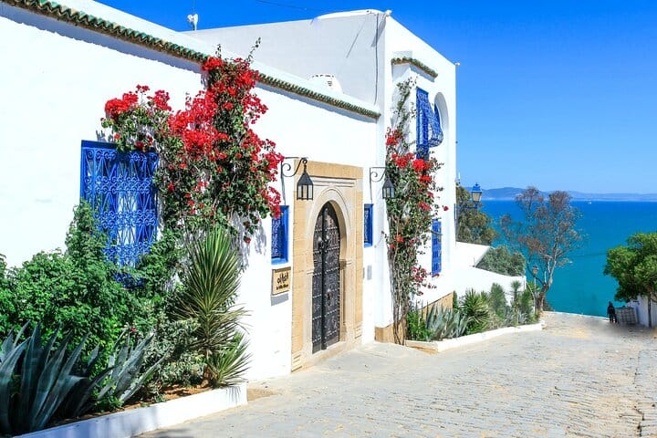 Visita a la antigua Cartago y Sidi Bou Said con almuerzo incluido.