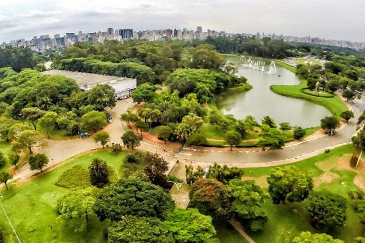 Tour Privado dos Principais Pontos Turísticos de São Paulo: 8 Horas (Saída na Cidade de Santos)