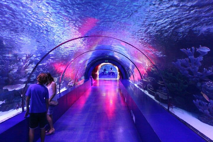 Excursión de 8 horas al acuario y al casco antiguo de Antalya