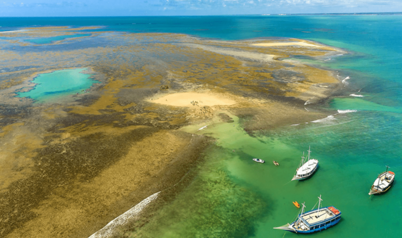 Tour ao Recife de Fora