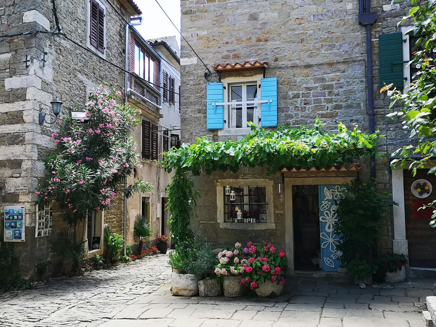 Excursión a los pueblos de montaña de Istria con degustación de especialidades locales.
