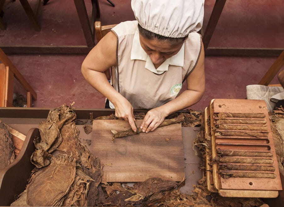 Tar-01 : Tarapoto's Hidden Treasures - City, Chocolate, and Animal Tours