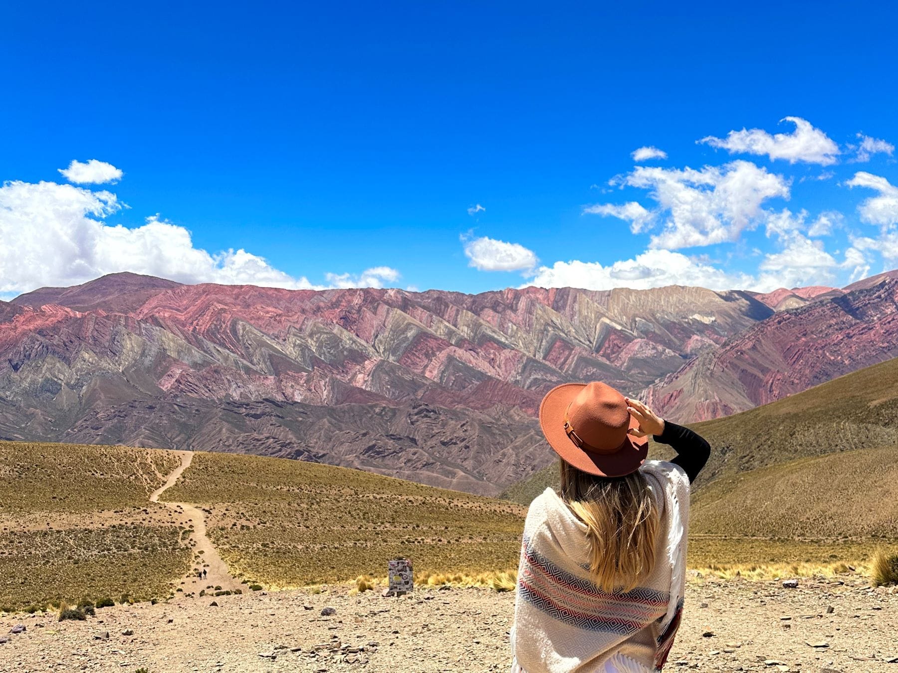 Quebrada de Humahuaca y Serranías de Hornocal (Cerro de los 14 colores)