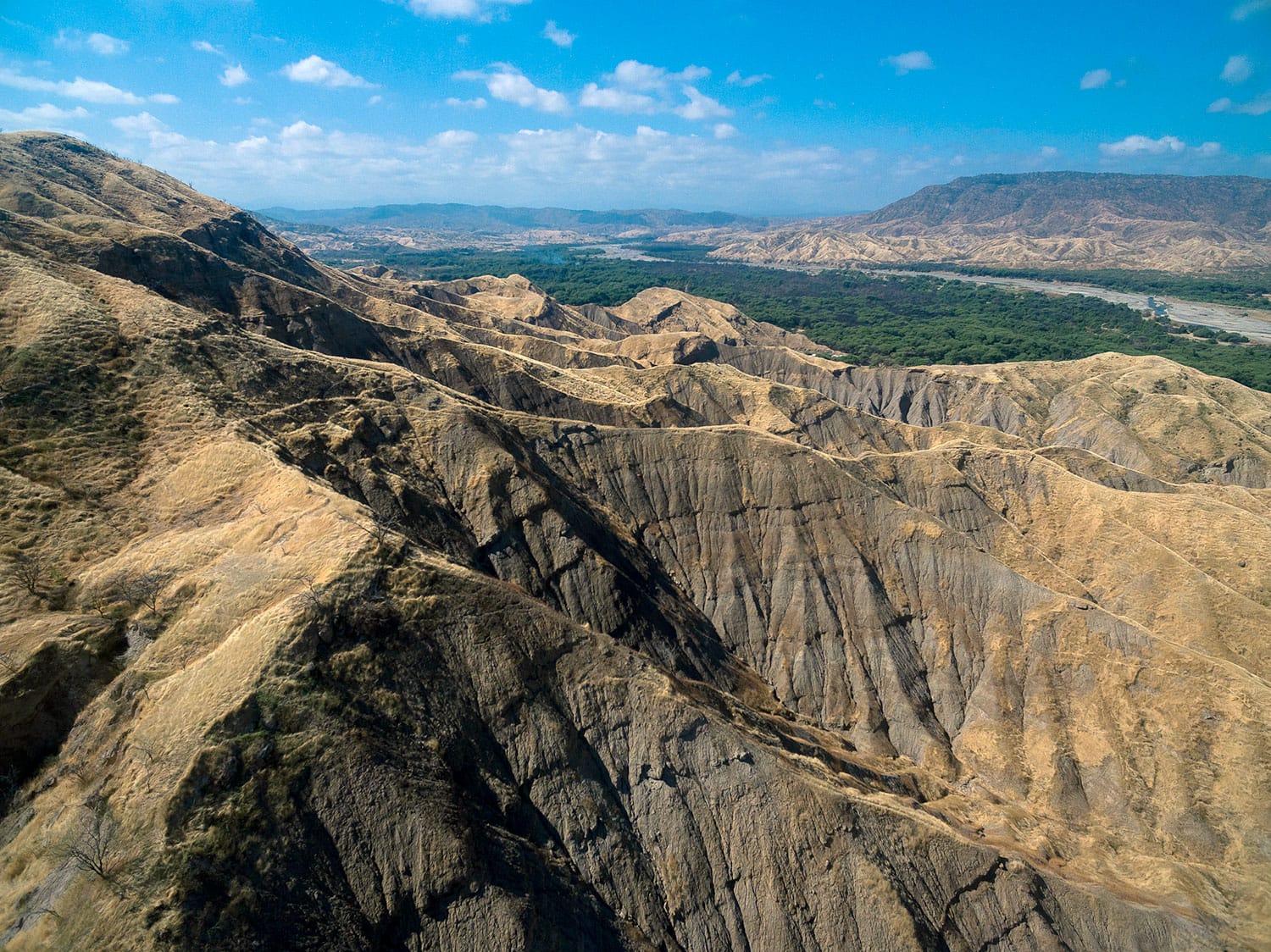 Tum-03 : Cerros de Amotape National Park - Into the Wild