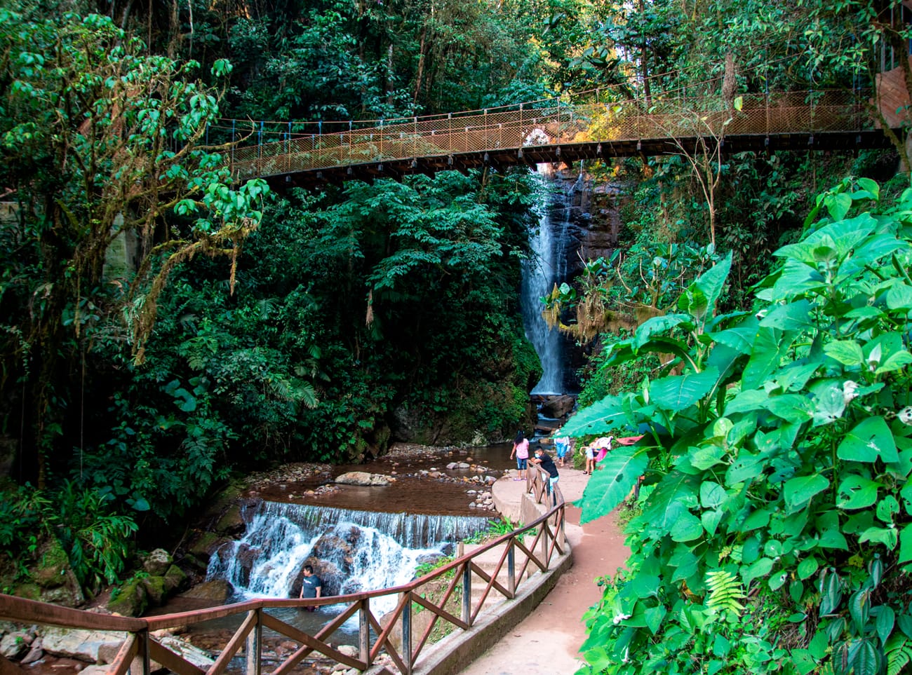 Oxa-03 : Rio Tigre - Amazon Waters and Jungle Secrets
