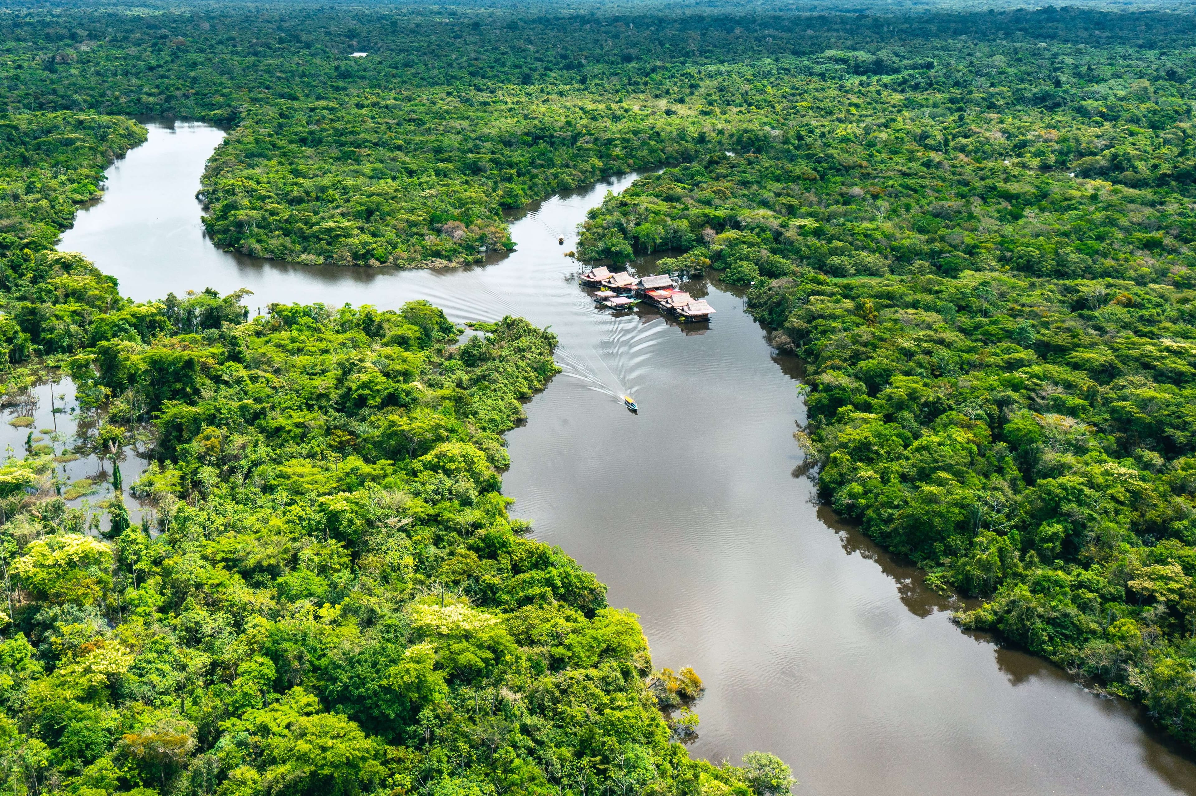 Iqu-02 : Iquitos Jungle - 2 Days Rainforest Discovery