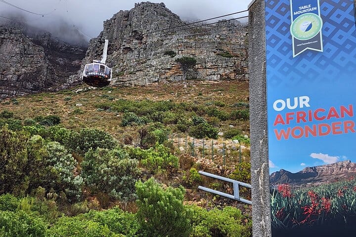 Montaña de la Mesa -Pingüinos de Boulder- Cape Point - Tour privado