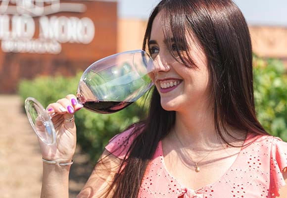 Os Segredos do Vinho - Visita a Adega na Ribera del Duero com Flexibilidade de Data