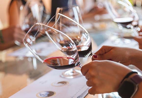 Vinhos e Tapas da Ribera del Duero: Uma Aventura Culinária com Reserva Flexível