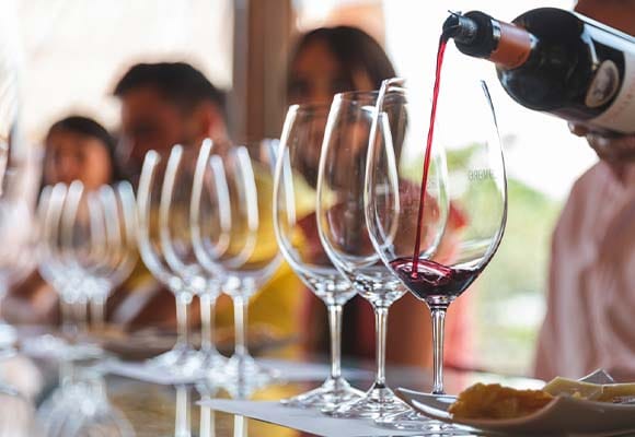 Experiência Gastronômica em Adega na Ribera del Duero com Flexibilidade de Data