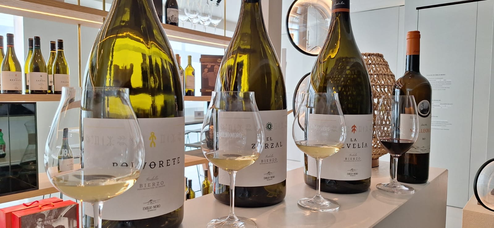 Desde Leon: Essência de El Bierzo, Visita a Adega e Degustação de Vinho em El Bierzo com Flexibilidade de Datas