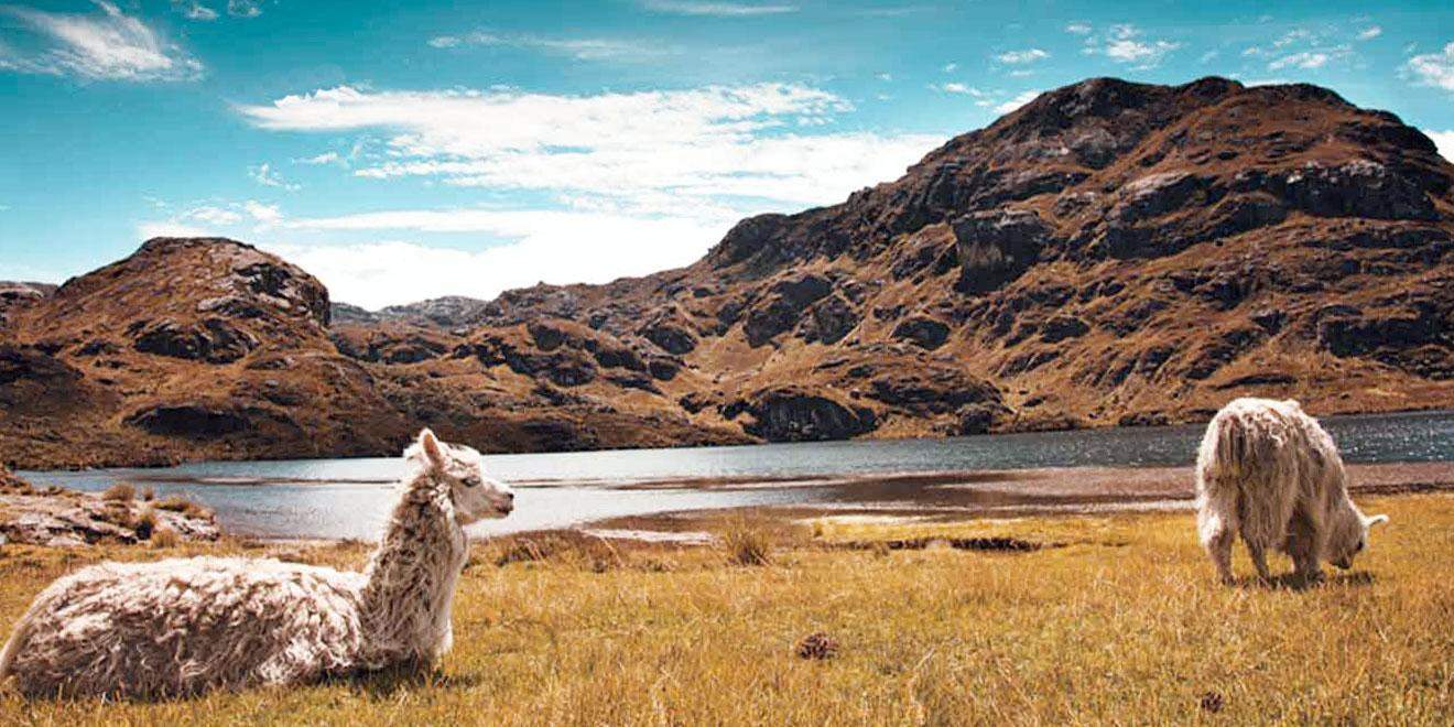 Excursión al Parque Nacional Cajas
