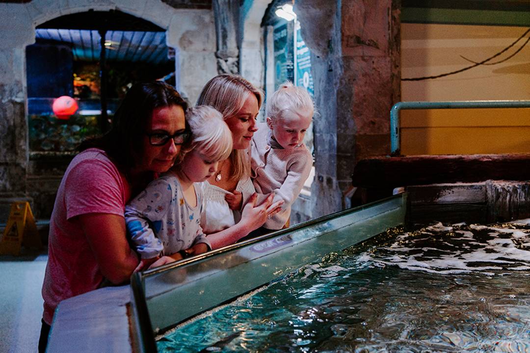 SEA LIFE Brighton