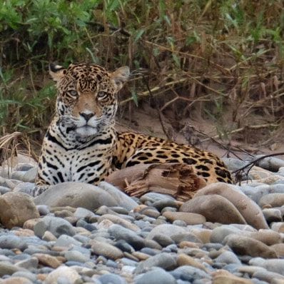 Tour por la selva - Amazonía inmersiva de 3 días/2 noches en el Parque Nacional Madidi