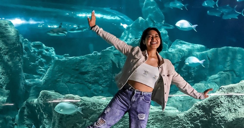 Ticket to Michin Aquarium Guadalajara