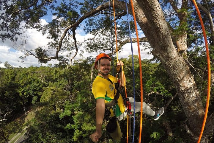Escalada em árvores na Amazônia