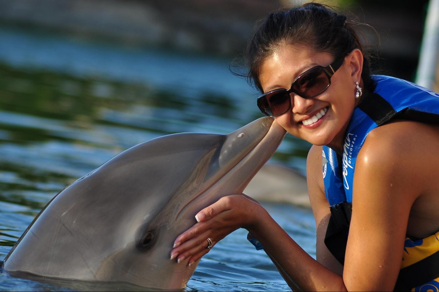 Dolphin Encounter - Puerto Aventuras